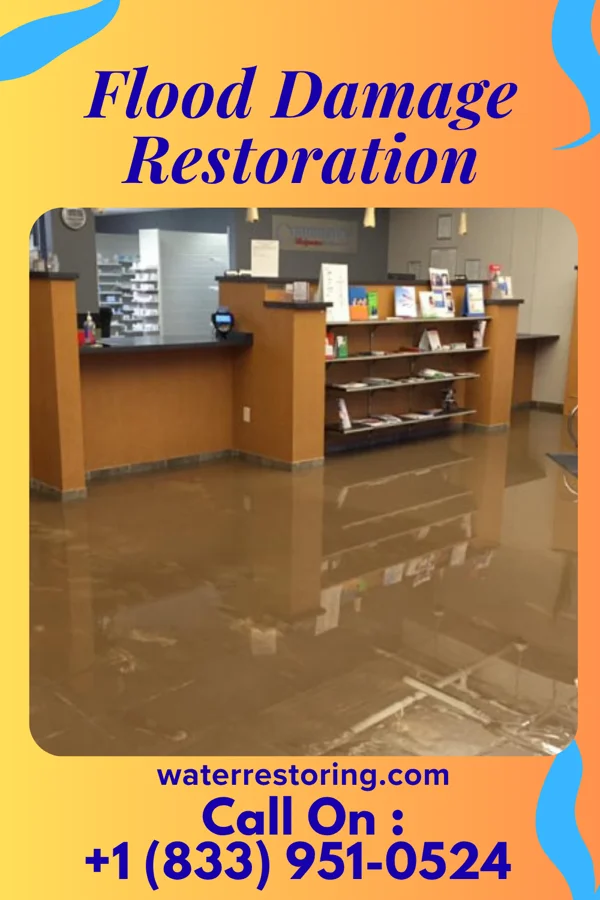 Flood Damage Restoration in Potwin, KS