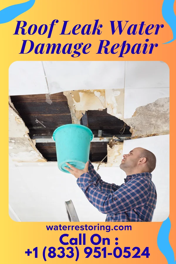 Roof Leak Water Damage Repair in Potwin, KS