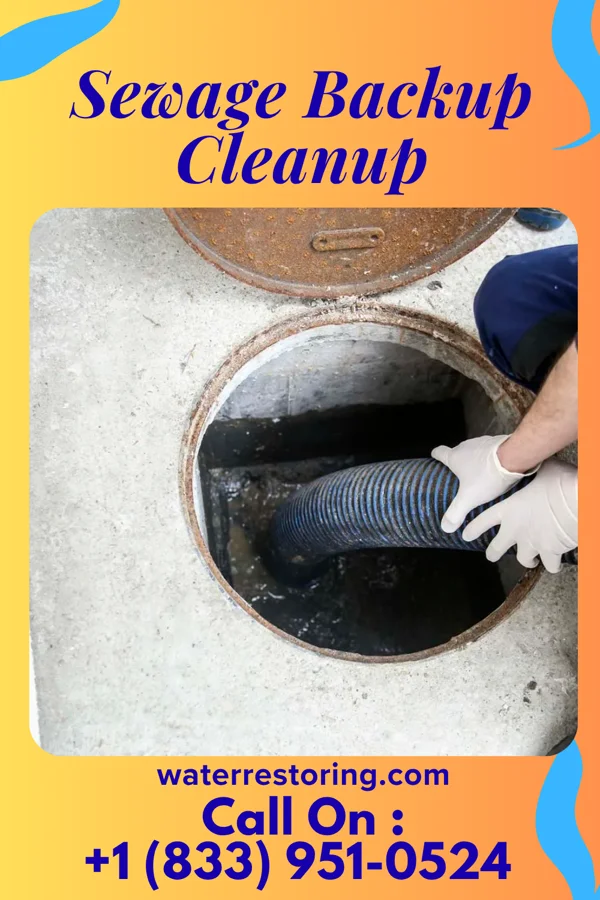 Sewage Backup Cleanup in Potwin, KS