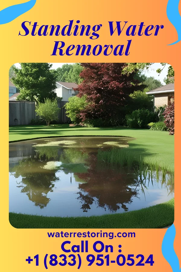 Standing Water Removal in Potwin, KS